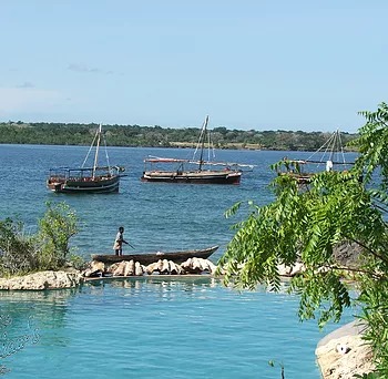 Lazy Lagoon at Charlie Claw's on Wasini Island Lazy Lagoon at Charlie Claw's on Wasini Island