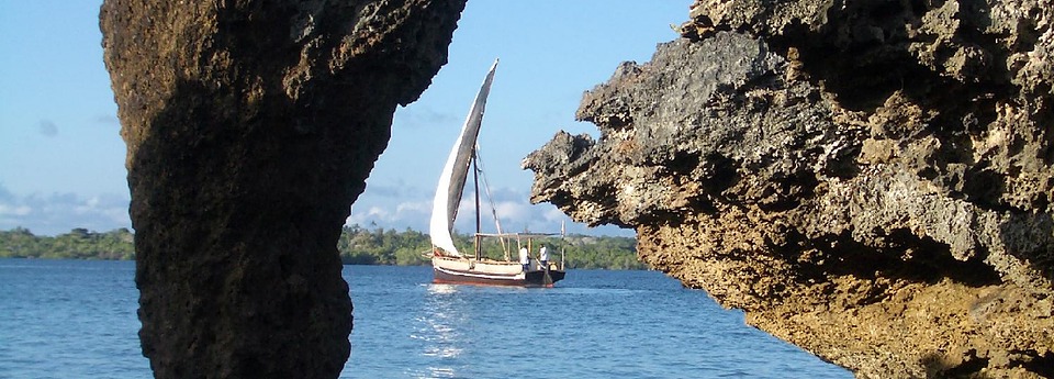 Charlie Claw's dhow sailing event with guests