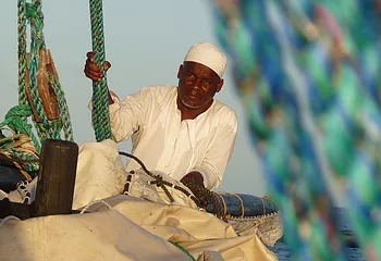 a trader dhow sailing a trader dhow sailing