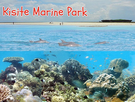 Enjoy a Charlie Claw's tour of Kisite Marine Park