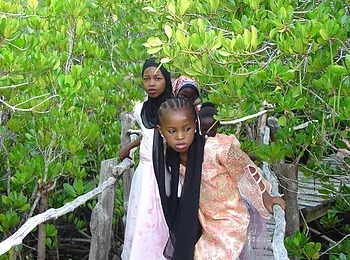 locals taking a stroll on the Wasini Womens Boardwalk locals taking a stroll on the Wasini Womens Boardwalk