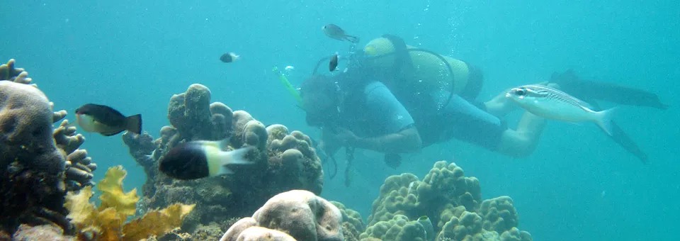 scuba-diving-slide1